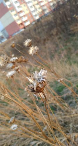 ��������� �������� ����