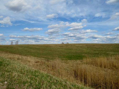 ������ �� ���� ������