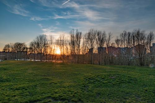 ���� ���������� ������