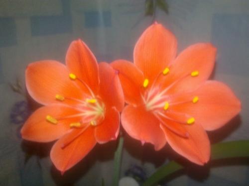 ����������� ����������!!!