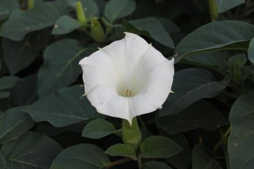 ��������� ������