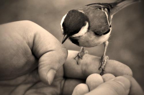 ������ � �����