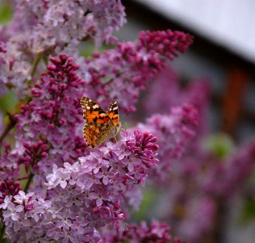 � ��� �� ���� �� �����