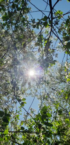 ������ � ������