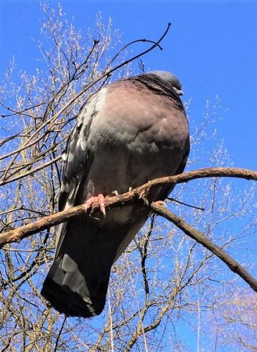 ������ �� �����