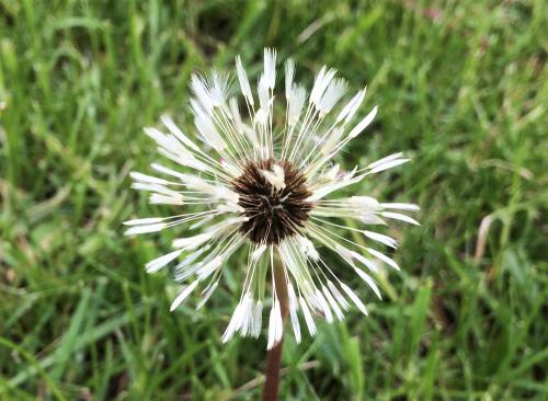 ��������� ����� �����