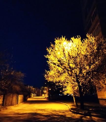 Ночной огонёк