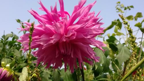 ������ �� ����