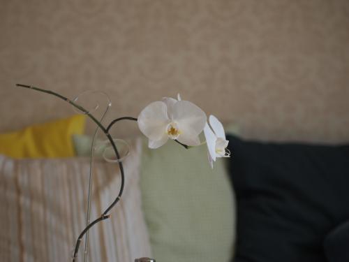 �����  �������