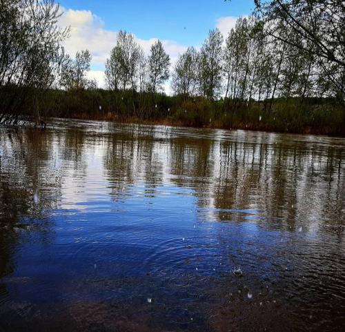 �������� ����������