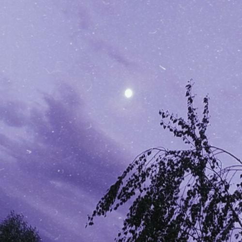 ��������� ����