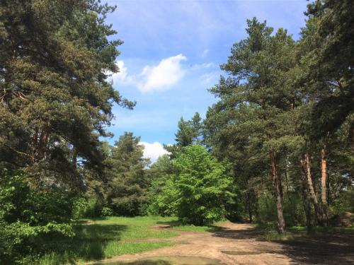 ������ ����