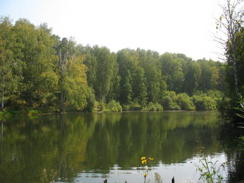 ������ �����