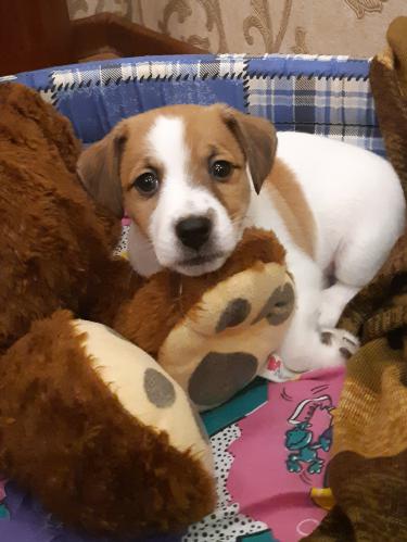 �������� �� ����