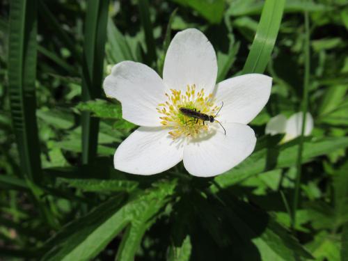 �������