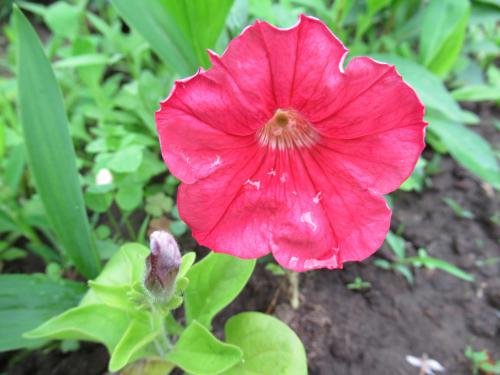 �������