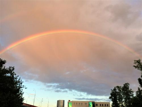 ������ � ������