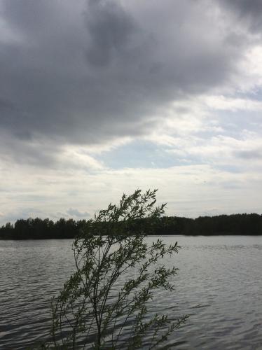 ����� �����������