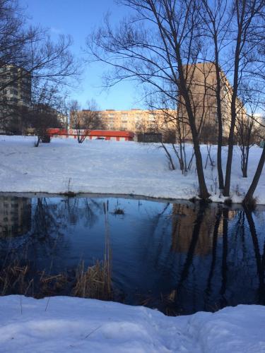 ��������� � ����