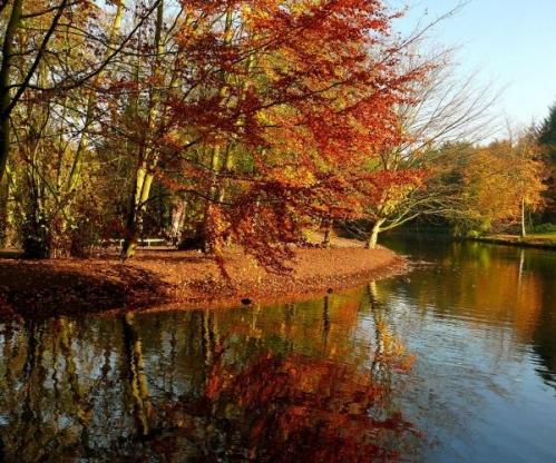 ������� �����