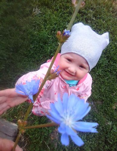 ��� ��������