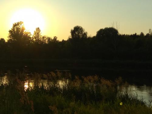 ��� ���� ����