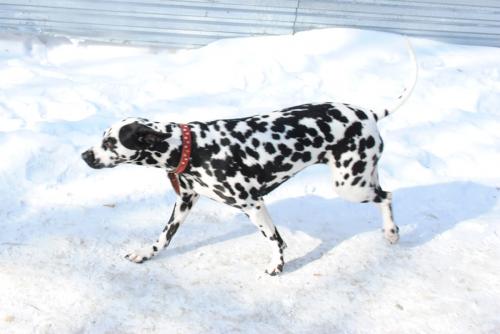 1 ��������