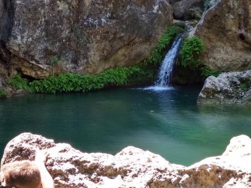 ������� � �����