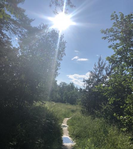 ������ ������� ����� ����� 