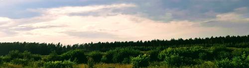 �������� �����������