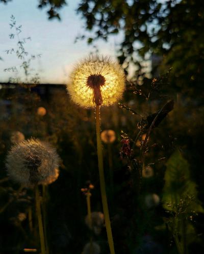 �� ������