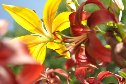 ���� � ����� 