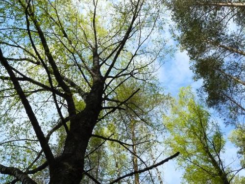 ��������������