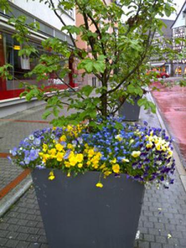 IMG2016051200800