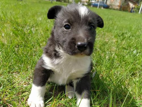 ���� �������