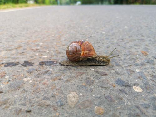   ���������� ���������