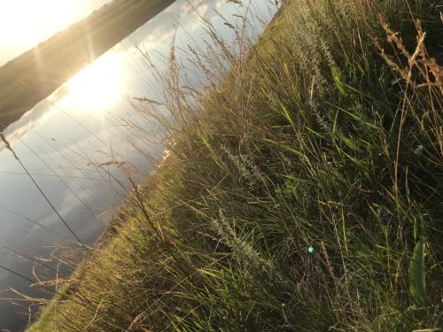 �������� ��������