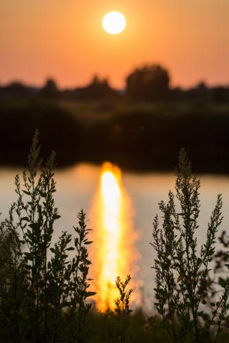 ����� �� �����