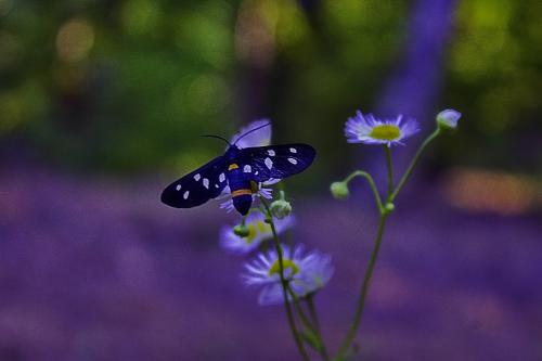 ������ � ����� ������� 2