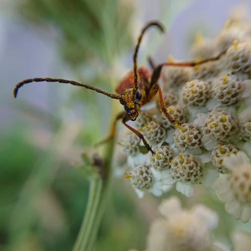 ���������� ���