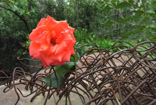 �������� � ���������