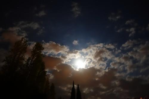 ������ ����