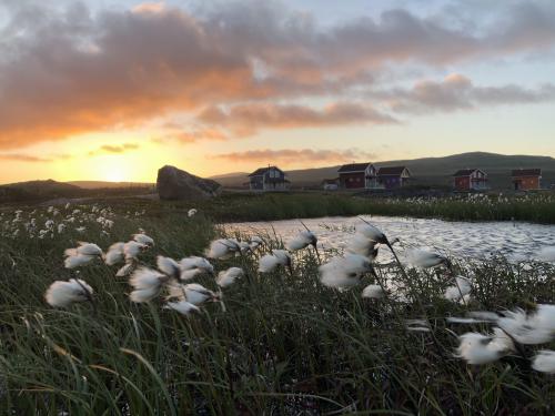 ����� ��� ��������