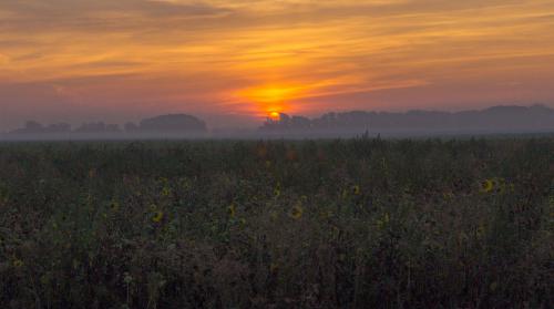 ���� ��������