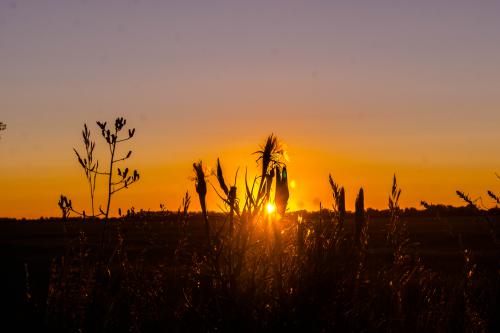 � ����� ��������� ������