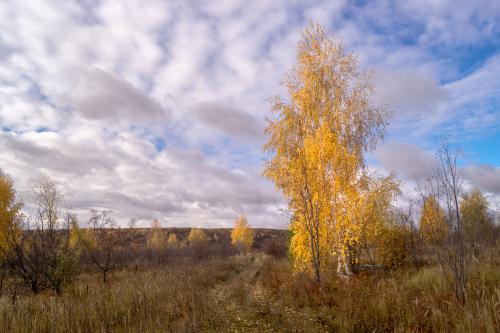 ������� ����