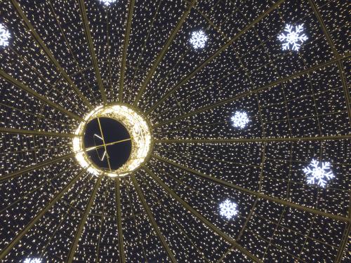 ������ ����