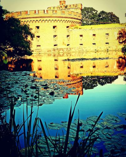 �����������  ����� ��������