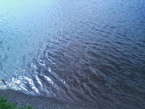 ���� ������ �����������