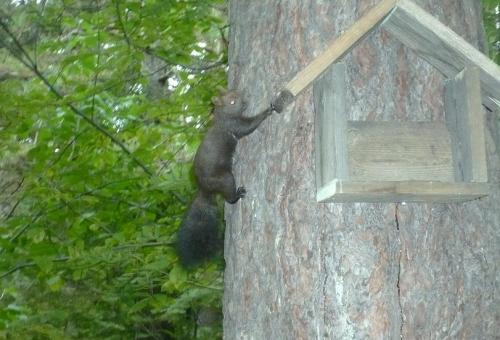 ������� � ����